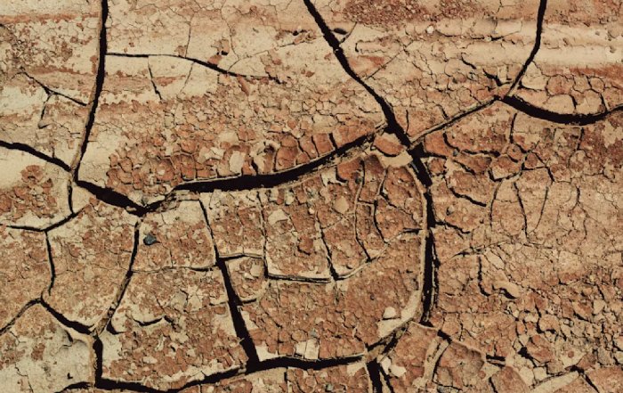 Article Image for How Climate and Geography Affect Skin Needs