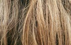 Article Image for How to Choose the Right Haircare for Your Scalp Type