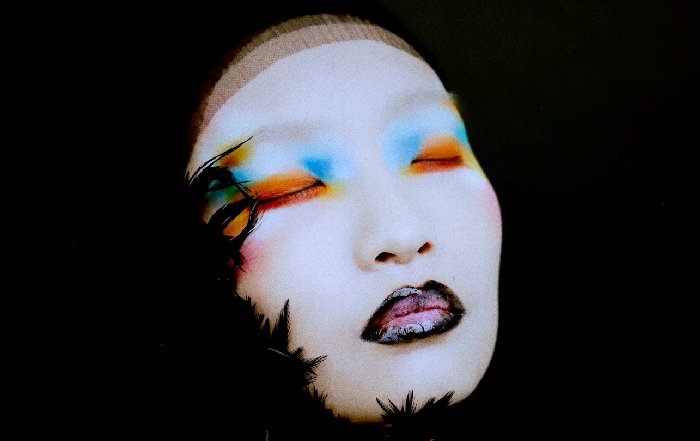 Article Image for The Art of Contouring and Highlighting for Every Face