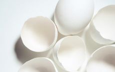 Article Image for The Benefits of Organic Ingredients in Skincare