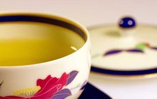 The Health and Beauty Benefits of Drinking Tea