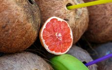 Article Image for The Impact of Nutrition on Skin Health and Radiance